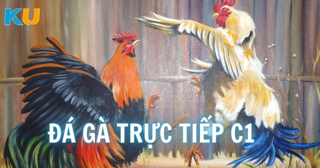 ĐÁ GÀ TRỰC TIẾP C1 ảnh nền